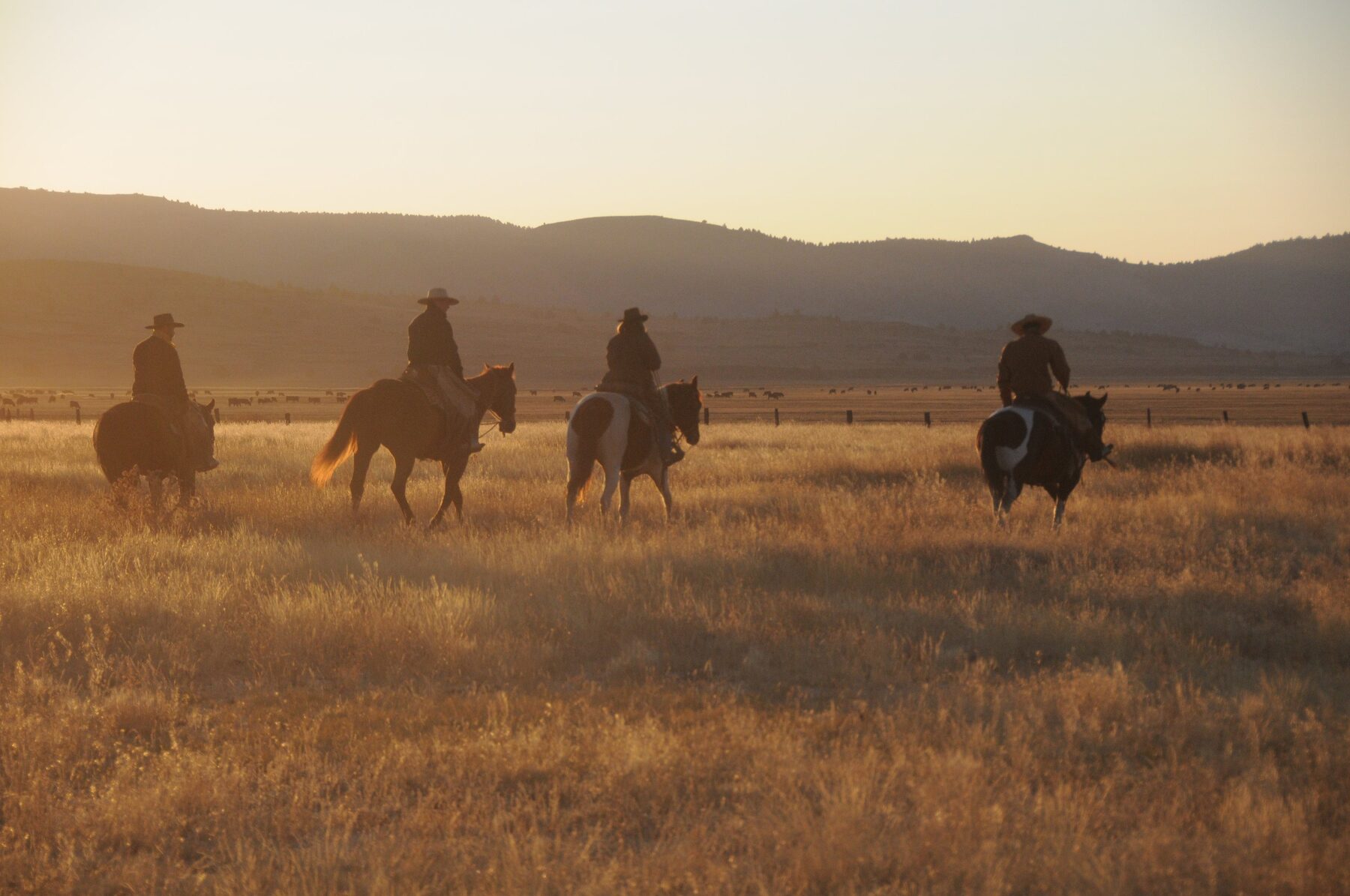 Four riders on horseback moving across a field at sunset